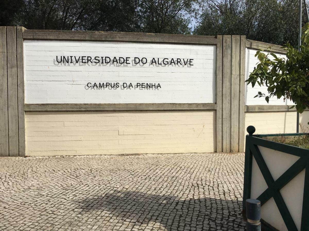 شقة Casa Do Marinheiro فارو المظهر الخارجي الصورة